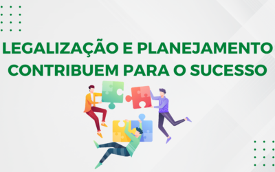 LEGALIZAÇÃO E PLANEJAMENTO CONTRIBUEM PARA O SUCESSO